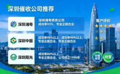 <b>深圳市債務(wù)催收公司有哪些公司？</b>